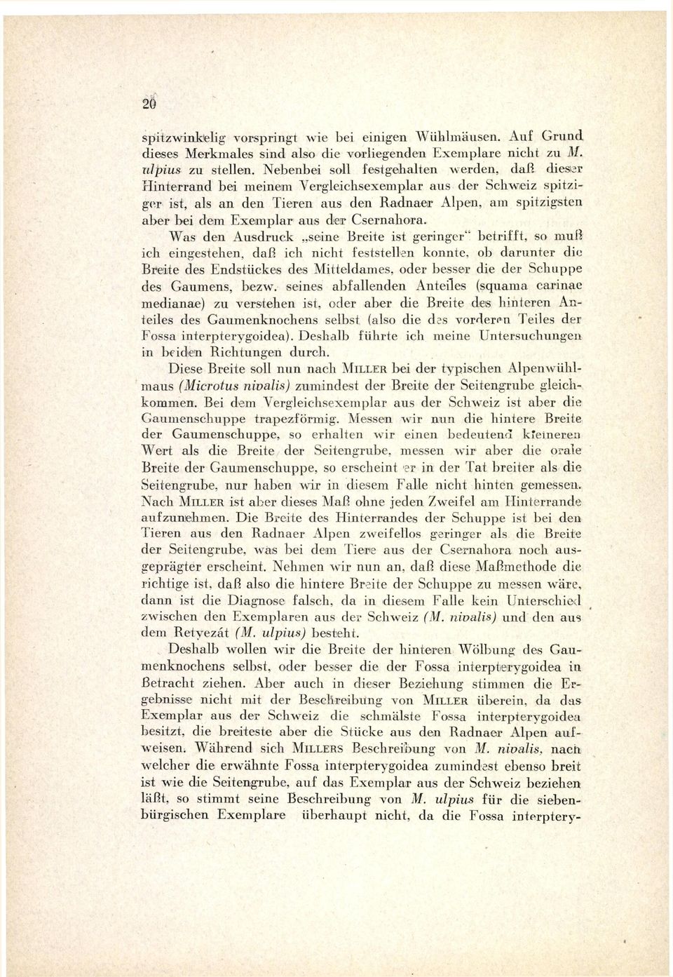 aus der Csernahora.