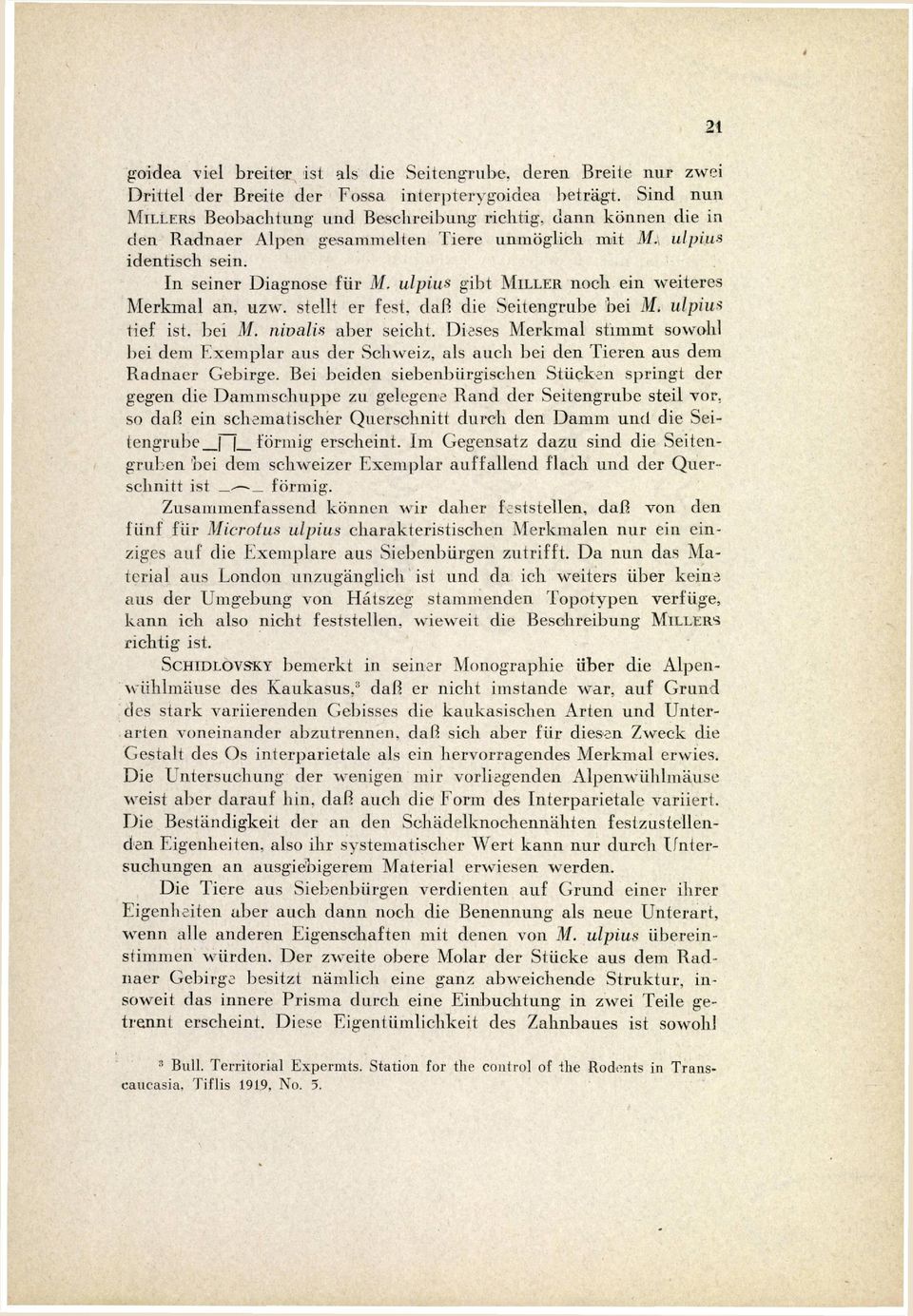 ulpius gibt M I L L E R noch ein weiteres Merkmal an, uzw. stellt er fest, da H die Seitengrube bei M. ulpiu* tief ist, bei M. nivalis aber seicht.