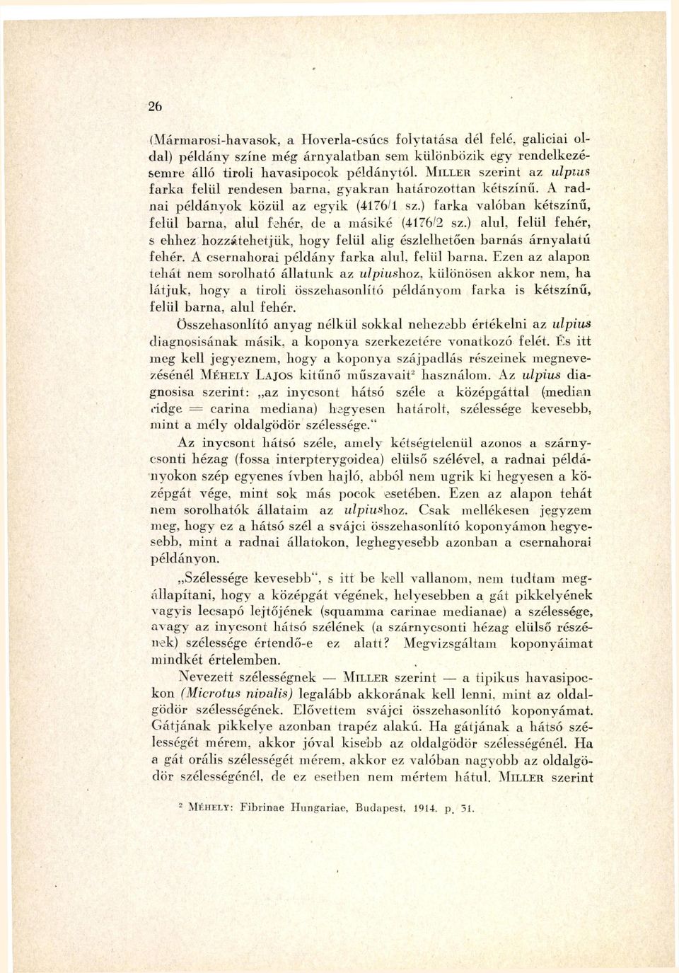 ) farka valóban kétszínű, felül barna, alul fehér, de a másiké (4176/2 sz.) alul. felül fehér, s ehhez hozzátehetjük, hogy felül alig észlelhetően barnás árnyalatú fehér.
