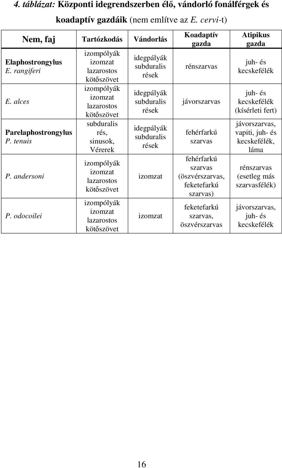 odocoilei izompólyák izomzat lazarostos kötőszövet izompólyák izomzat lazarostos kötőszövet subduralis rés, sinusok, Vérerek izompólyák izomzat lazarostos kötőszövet izompólyák izomzat lazarostos