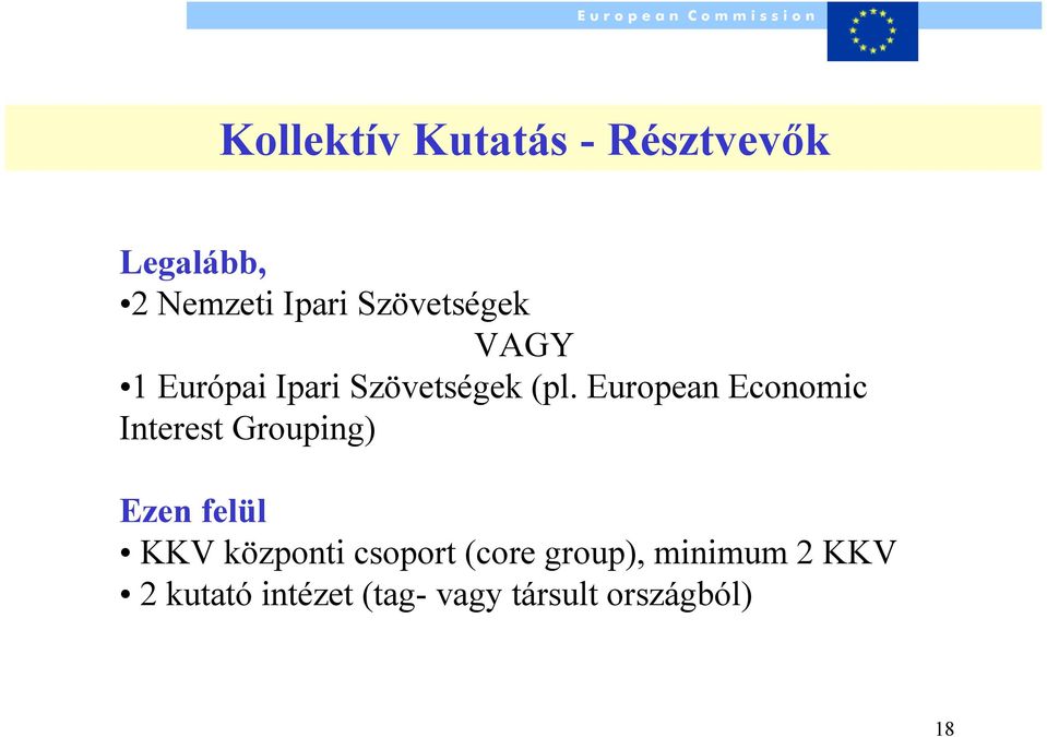 European Economic Interest Grouping) Ezen felül KKV központi