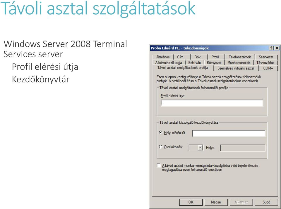 Server 2008 Terminal