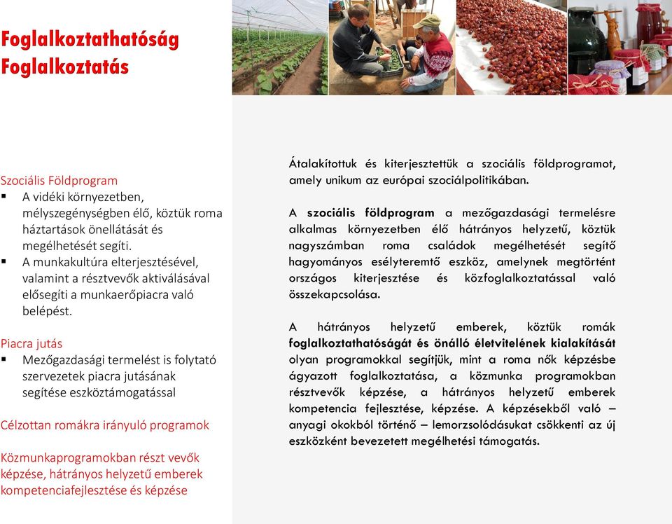 Piacra jutás Mezőgazdasági termelést is folytató szervezetek piacra jutásának segítése eszköztámogatással Célzottan romákra irányuló programok Közmunkaprogramokban részt vevők képzése, hátrányos