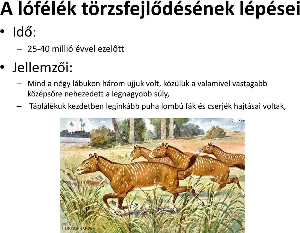 a valamivel vastagabb középsőre nehezedett a legnagyobb súly,