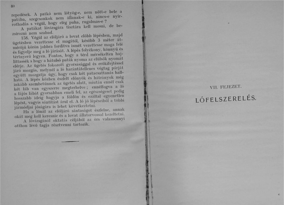 Végül az elöljáró a lovat előbb lépésben, majd ügetésben vezettesse el magától, később 3 méter átmérőjű körön jobbra fordítva ismét vezettesse maga felé és figyelje meg a ló járását.