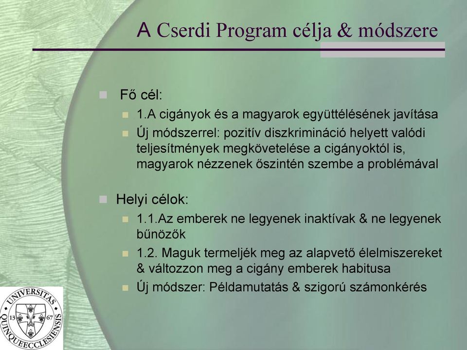 teljesítmények megkövetelése a cigányoktól is, magyarok nézzenek őszintén szembe a problémával Helyi célok: 1.