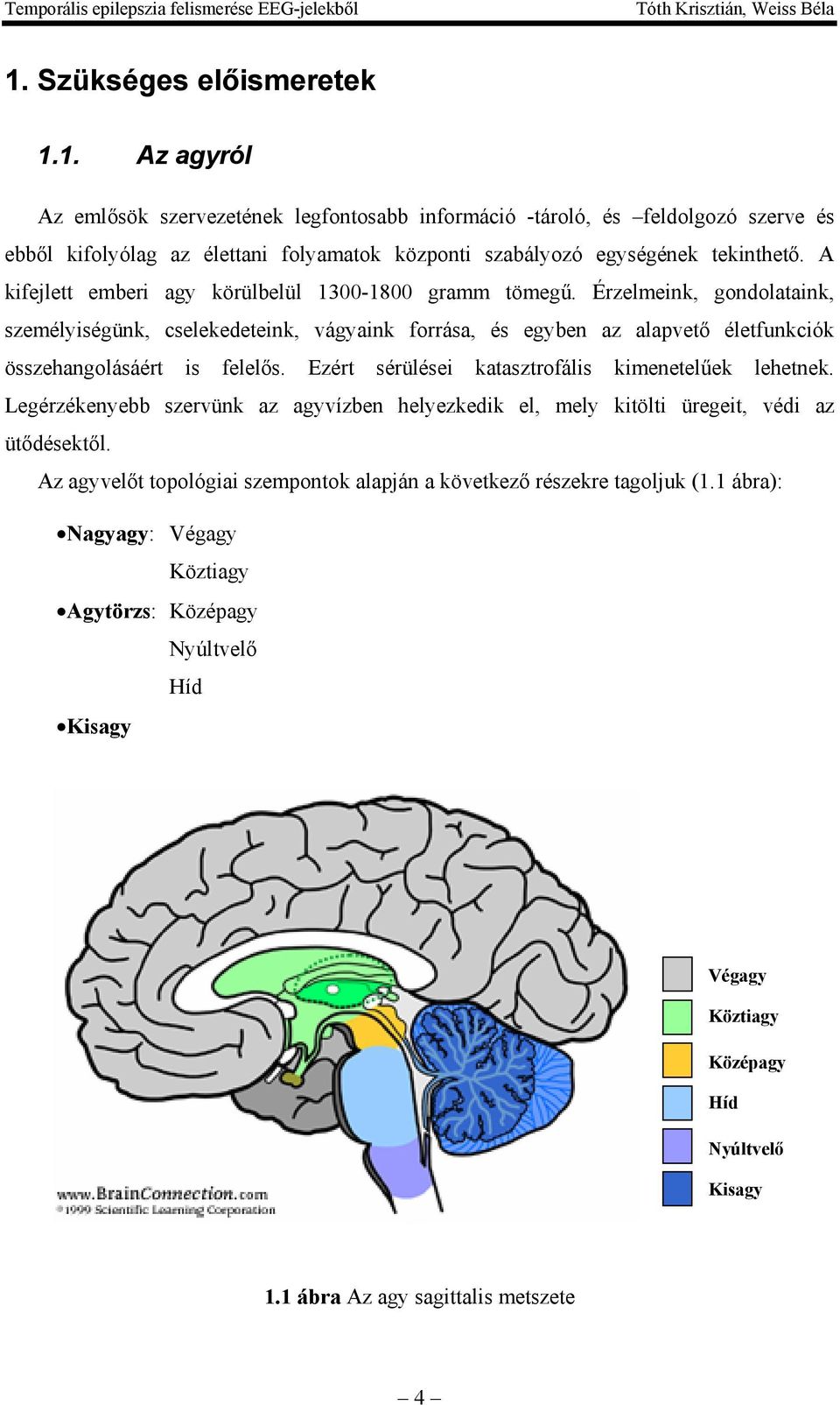 Érzelmeink, gondolataink, személyiségünk, cselekedeteink, vágyaink forrása, és egyben az alapvető életfunkciók összehangolásáért is felelős. Ezért sérülései katasztrofális kimenetelűek lehetnek.