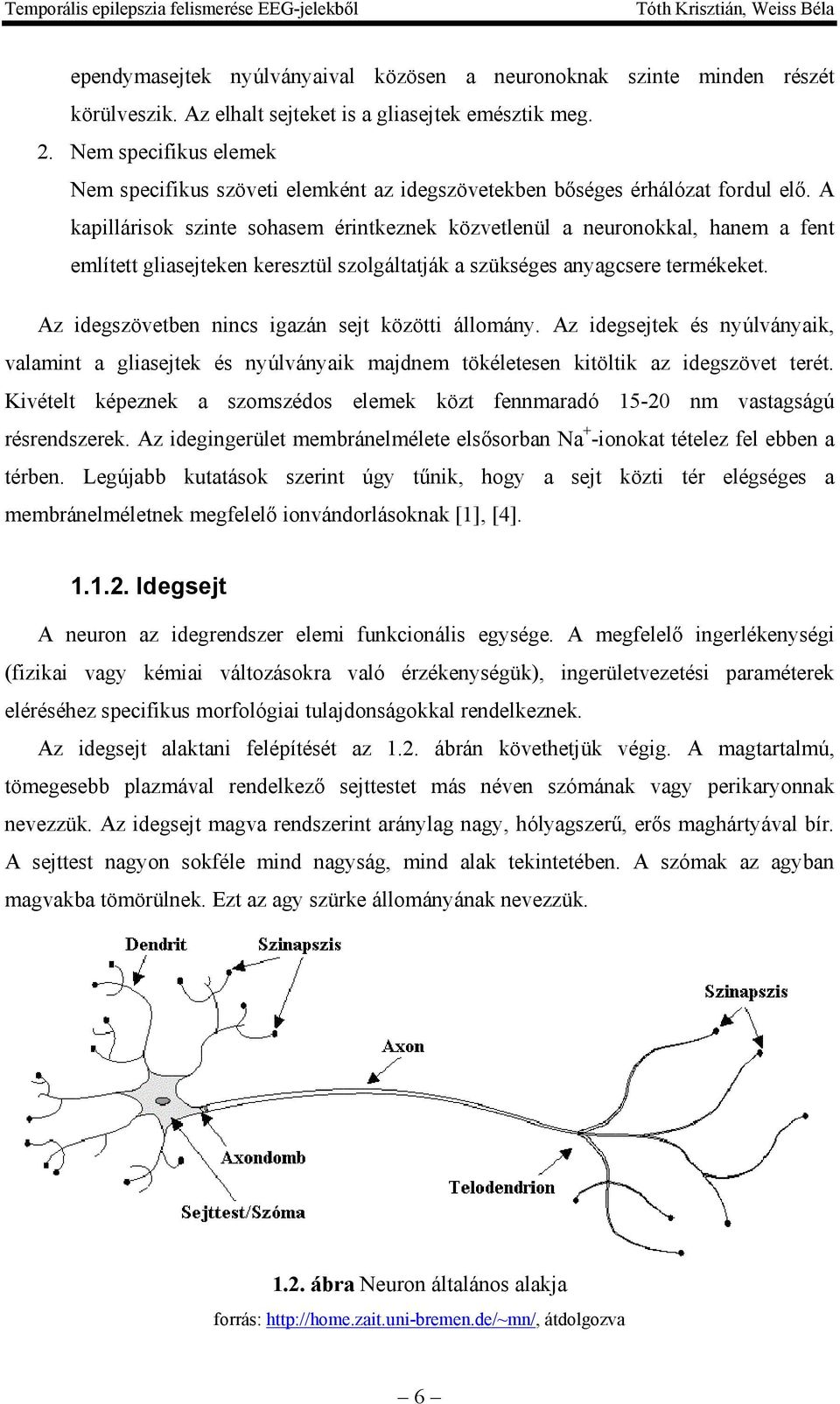 A kapillárisok szinte sohasem érintkeznek közvetlenül a neuronokkal, hanem a fent említett gliasejteken keresztül szolgáltatják a szükséges anyagcsere termékeket.