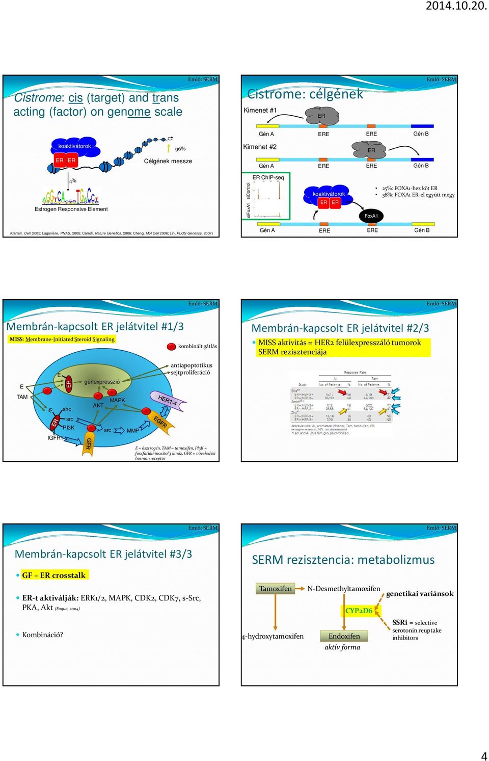 Lin, PLOS Genetics, 2007) Gén A E E Gén B Membrán-kapcsolt jelátvitel #1/3 MISS: Membrane-Initiated Steroid Signaling kombinált gátlás Membrán-kapcsolt jelátvitel #2/3 MISS aktivitás = H2
