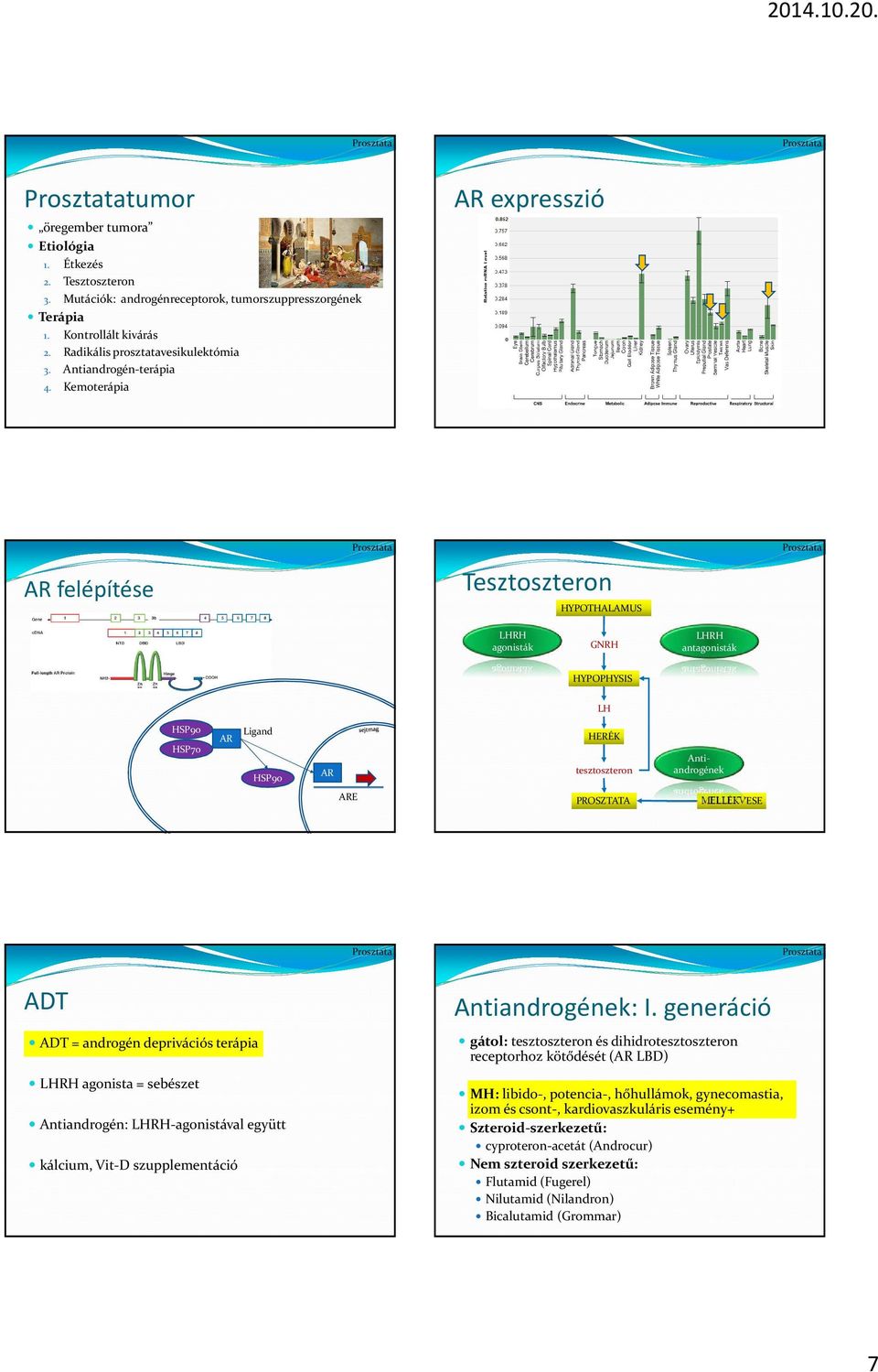 Kemoterápia AR expresszió AR felépítése Tesztoszteron HYPOTHALAMUS LHRH agonisták GNRH LHRH antagonisták HYPOPHYSIS LH HSP90 HSP70 AR Ligand HSP90 AR HÉK tesztoszteron Antiandrogének ARE PROSZTATA