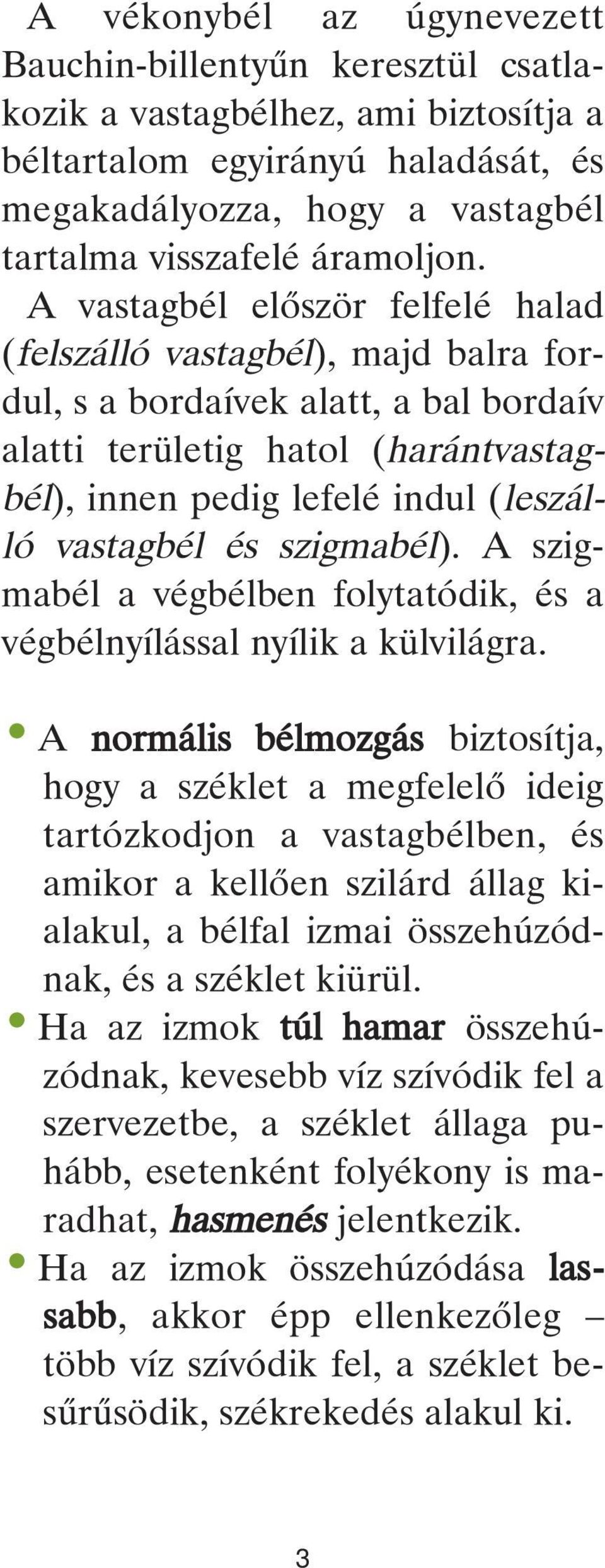 és szigmabél). A szigmabél a végbélben folytatódik, és a végbélnyílással nyílik a külvilágra.