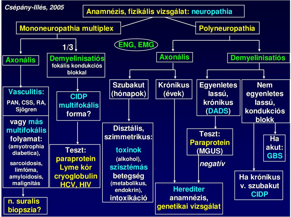 CIDP multifokális lis forma?