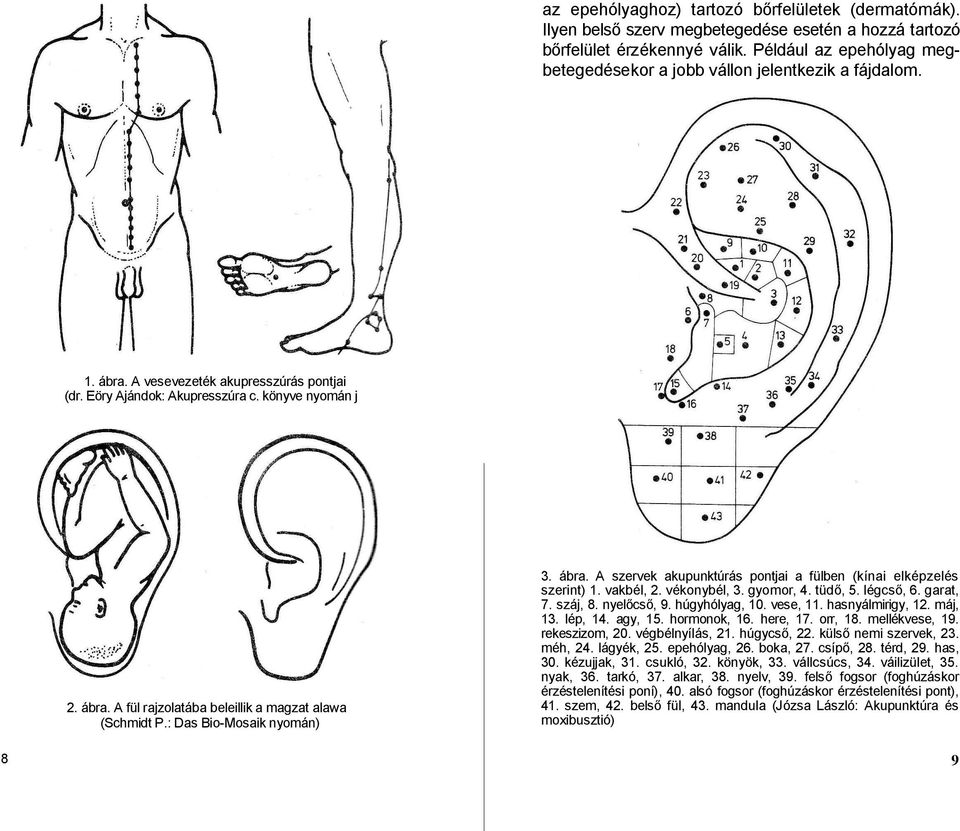 : Das Bio-Mosaik nyomán) 3. ábra. A szervek akupunktúrás pontjai a fülben (kínai elképzelés szerint) 1. vakbél, 2. vékonybél, 3. gyomor, 4. tüdő, 5. légcső, 6. garat, 7. száj, 8. nyelőcső, 9.
