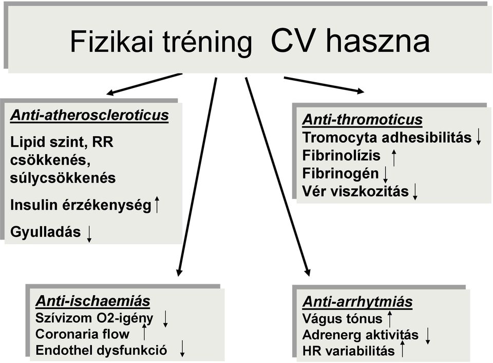 adhesibilitás Fibrinolízis Fibrinogén Vér viszkozitás Anti-ischaemiás Szívizom