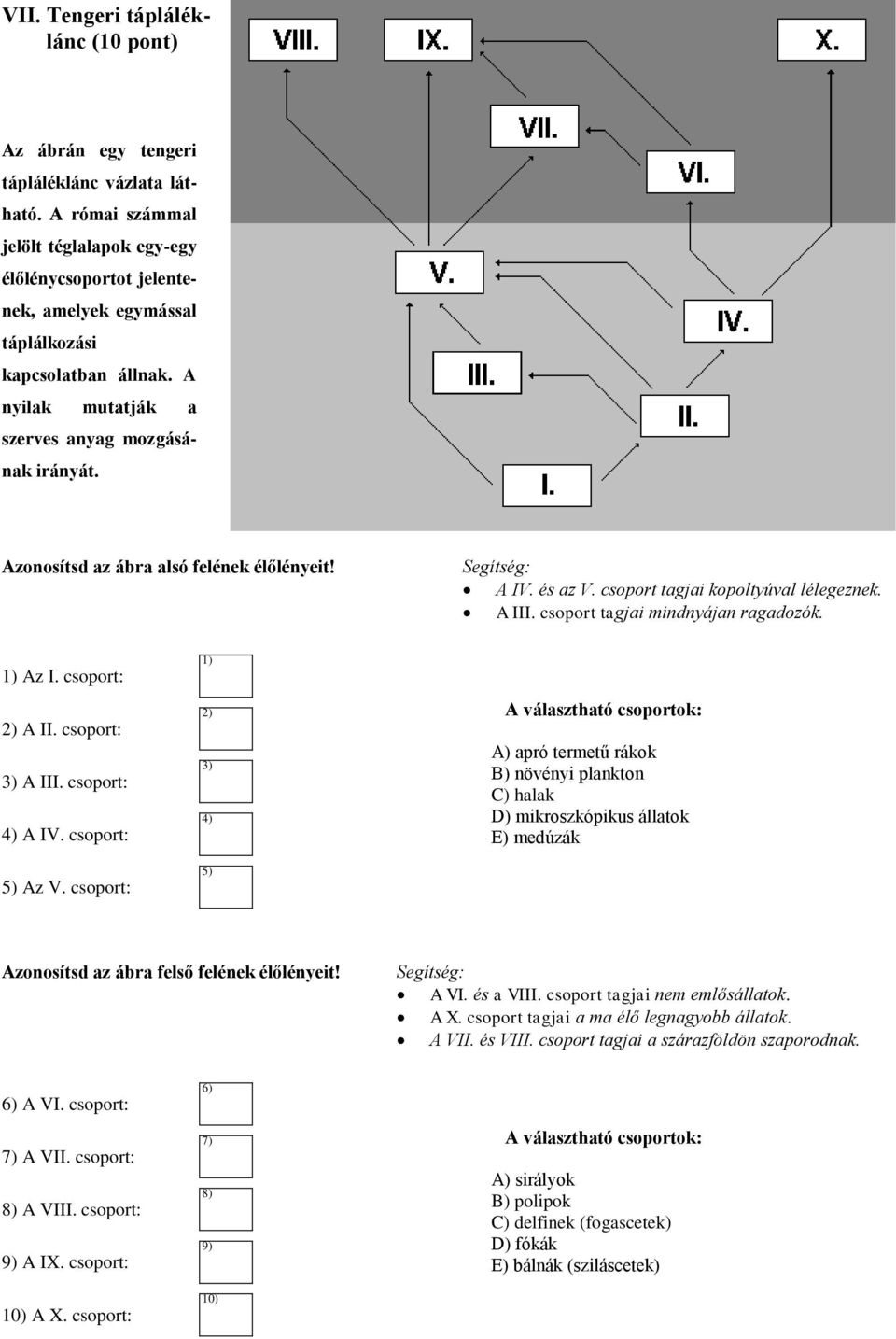 Azonosítsd az ábra alsó felének élőlényeit! Segítség: A IV. és az V. csoport tagjai kopoltyúval lélegeznek. A III. csoport tagjai mindnyájan ragadozók. 1) Az I. csoport: 2) A II. csoport: 3) A III.