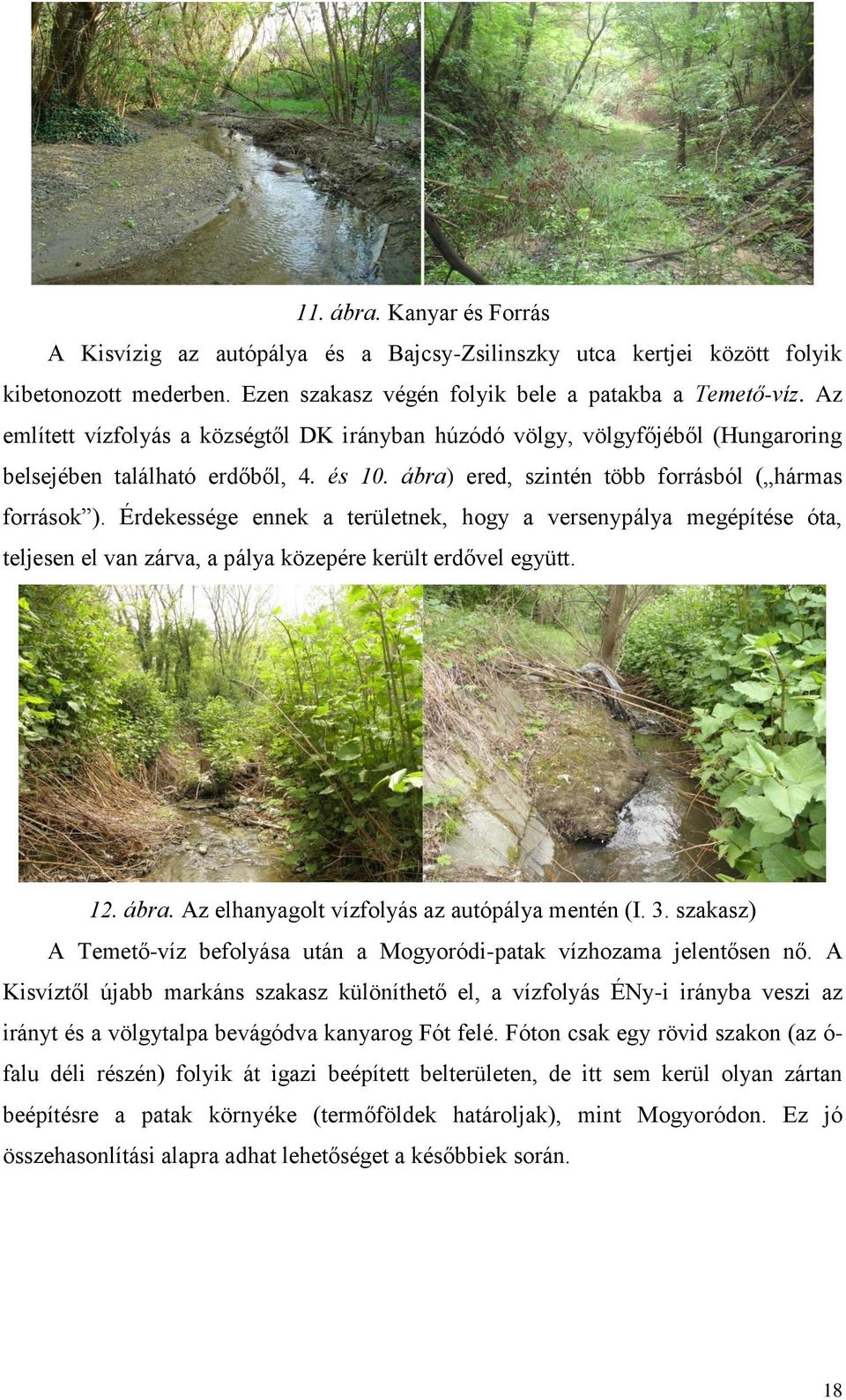 Érdekessége ennek a területnek, hogy a versenypálya megépítése óta, teljesen el van zárva, a pálya közepére került erdővel együtt. 12. ábra. Az elhanyagolt vízfolyás az autópálya mentén (I. 3.