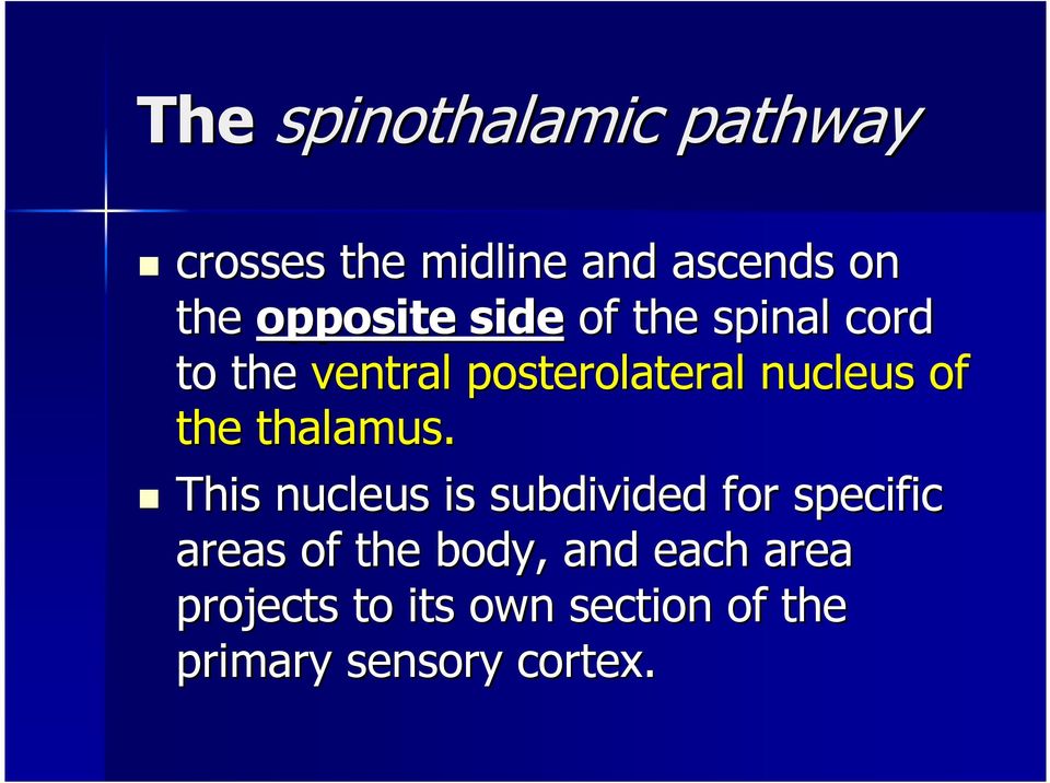 of the thalamus.