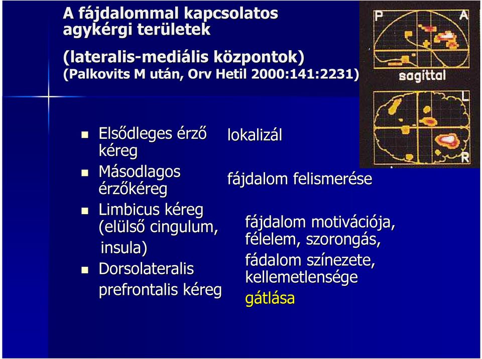 Limbicus kéreg k (elüls lső cingulum, insula) Dorsolateralis prefrontalis kéregk lokalizál