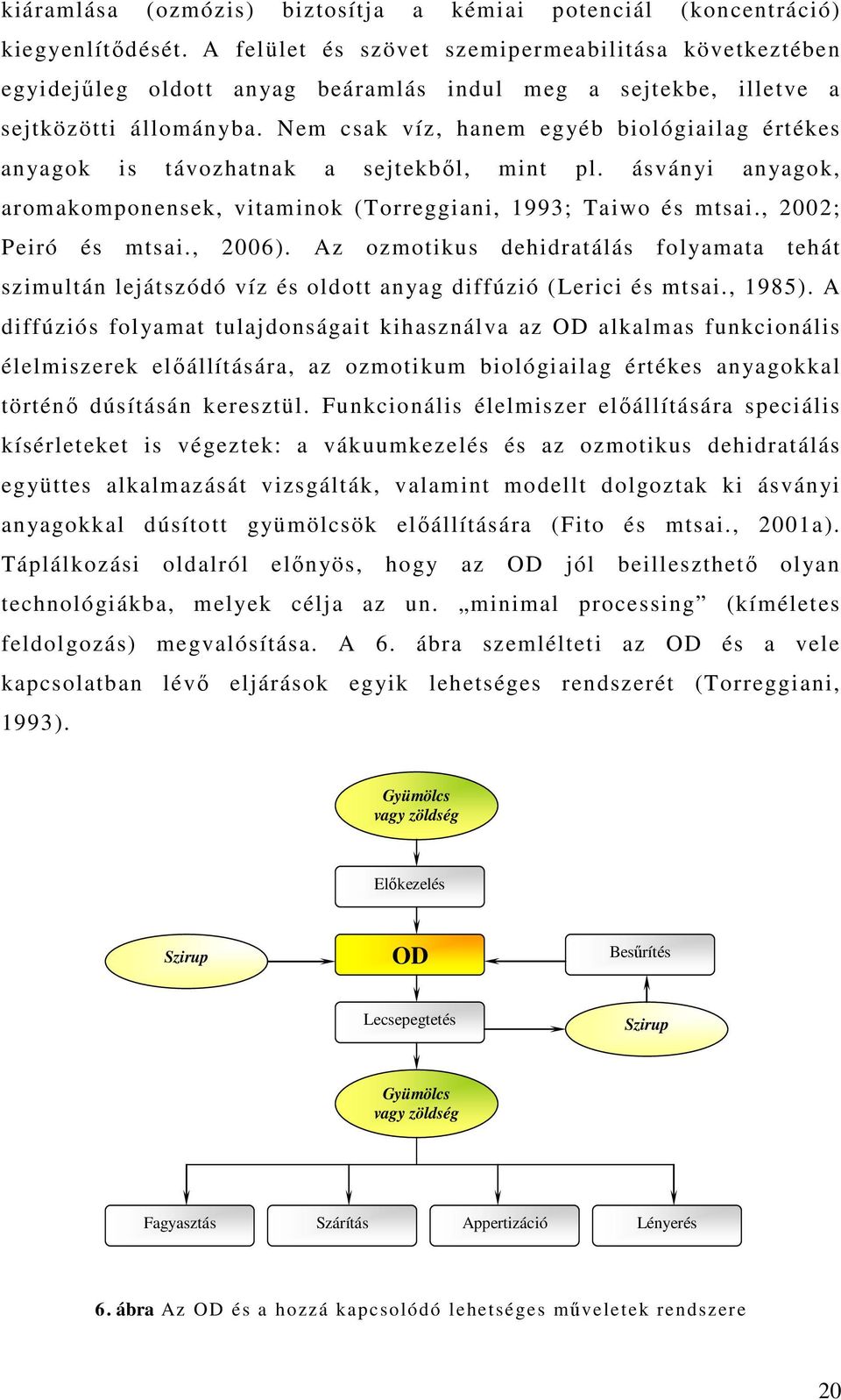 Nem csak víz, hanem egyéb biológiailag értékes anyagok is távozhatnak a sejtekbıl, mint pl. ásványi anyagok, aromakomponensek, vitaminok (Torreggiani, 1993; Taiwo és mtsai., 00; Peiró és mtsai., 006).