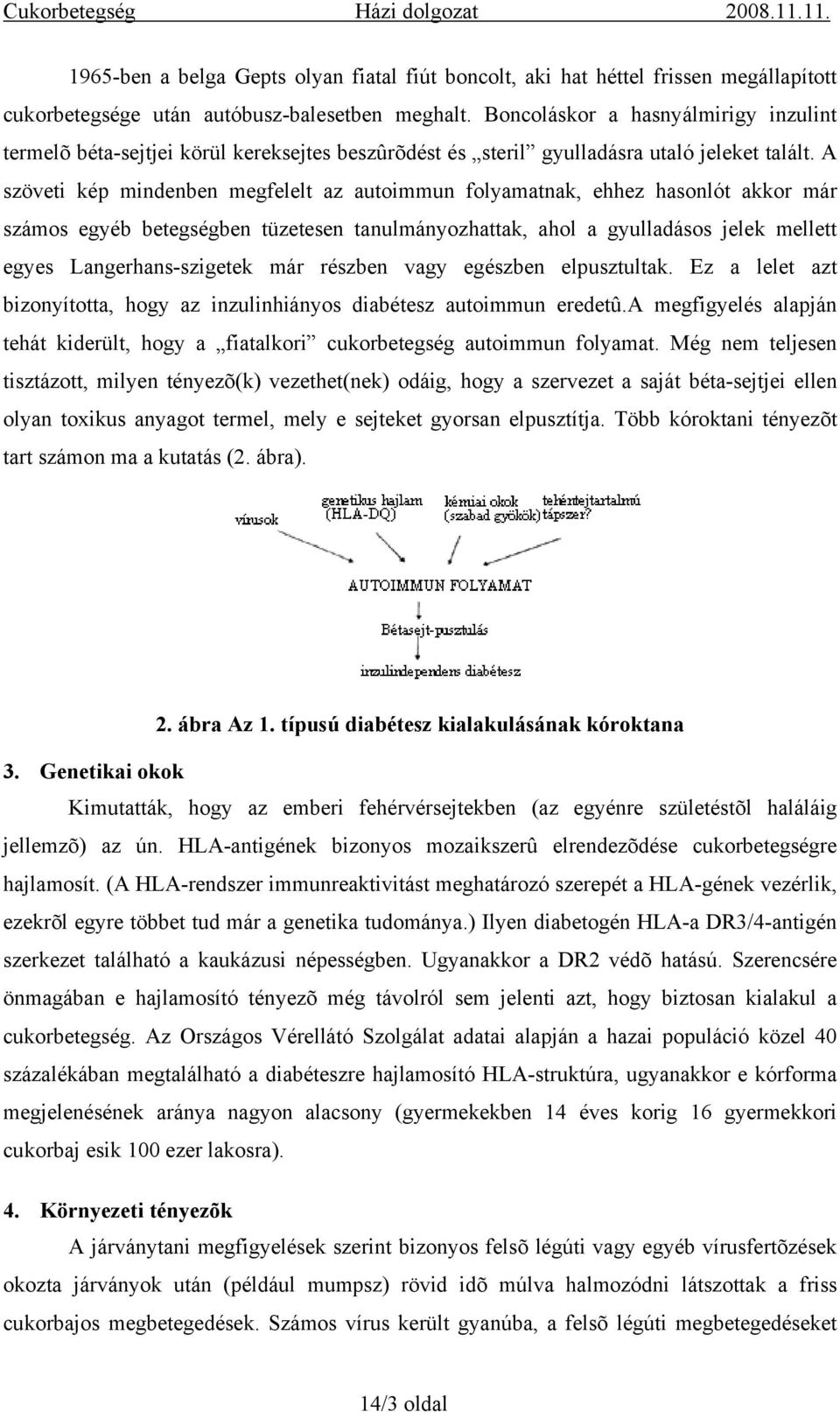 A szöveti kép mindenben megfelelt az autoimmun folyamatnak, ehhez hasonlót akkor már számos egyéb betegségben tüzetesen tanulmányozhattak, ahol a gyulladásos jelek mellett egyes Langerhans-szigetek