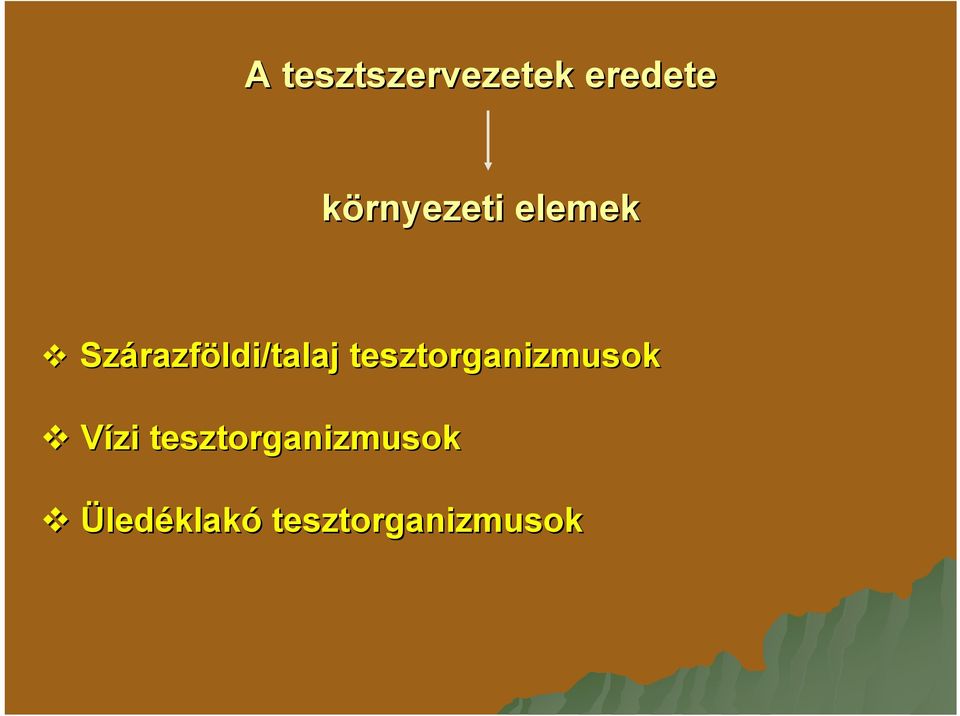 razföldi/talaj tesztorganizmusok