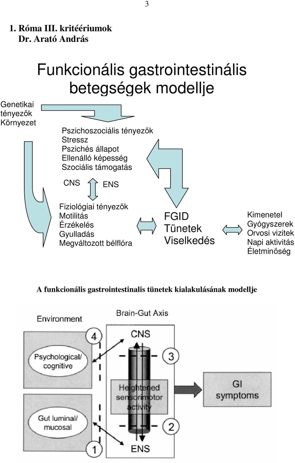 tényezık Stressz Pszichés állapot Ellenálló képesség Szociális támogatás CNS ENS Fiziológiai tényezık Motilitás