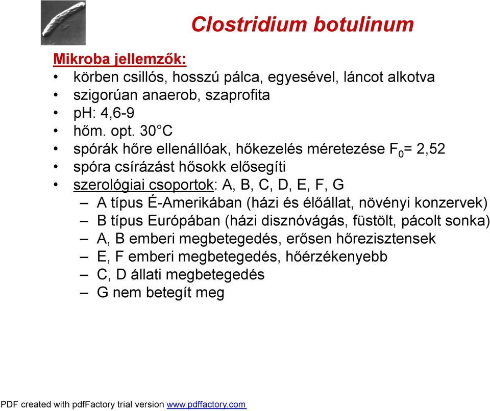 30 C spórák hőre ellenállóak, hőkezelés méretezése F 0 = 2,52 spóra csírázást hősokk elősegíti szerológiai csoportok: A, B, C, D, E,