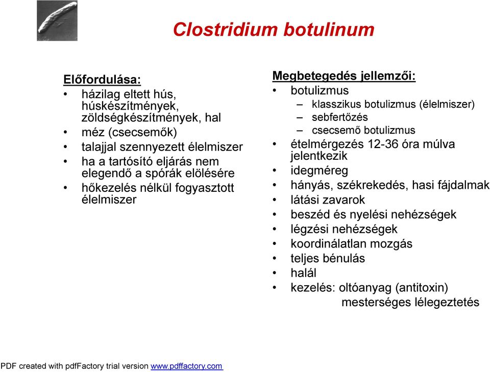 botulizmus (élelmiszer) sebfertőzés csecsemő botulizmus ételmérgezés 12-36 óra múlva jelentkezik idegméreg hányás, székrekedés, hasi fájdalmak