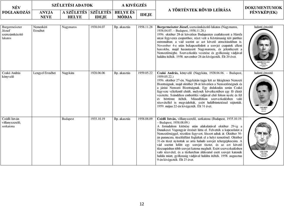 November 4-e után bekapcsolódott a szovjet csapatok elleni harcokba, majd hazautazott Nagymarosra, és jelentkezett a Nemzetőrségbe. Szervezkedés vezetése és gyilkosság vádjával halálra ítélték. 1958.