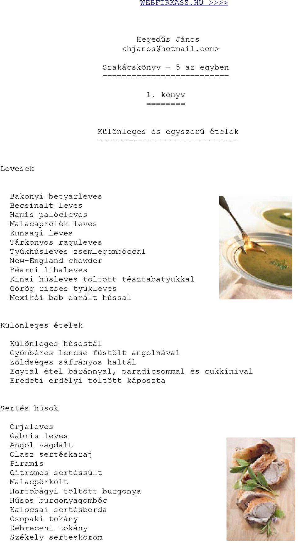 Tyúkhúsleves zsemlegombóccal New-England chowder Béarni libaleves Kínai húsleves töltött tésztabatyukkal Görög rizses tyúkleves Mexikói bab darált hússal Különleges ételek Különleges húsostál