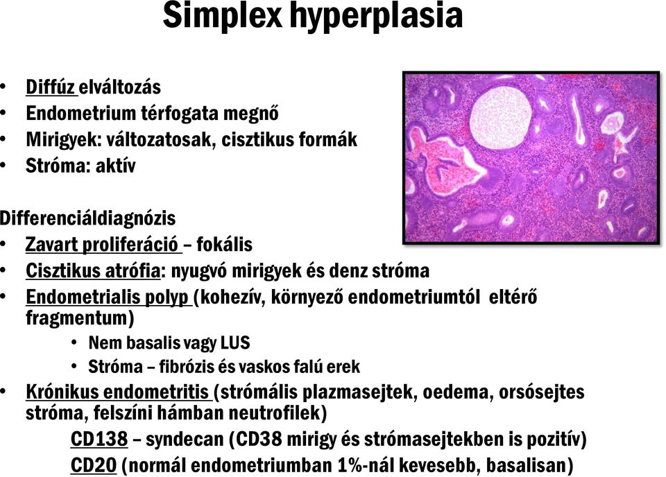 endometriumtól eltérő fragmentum) Nem basalis vagy LUS Stróma fibrózis és vaskos falú erek Krónikus endometritis (strómális plazmasejtek,