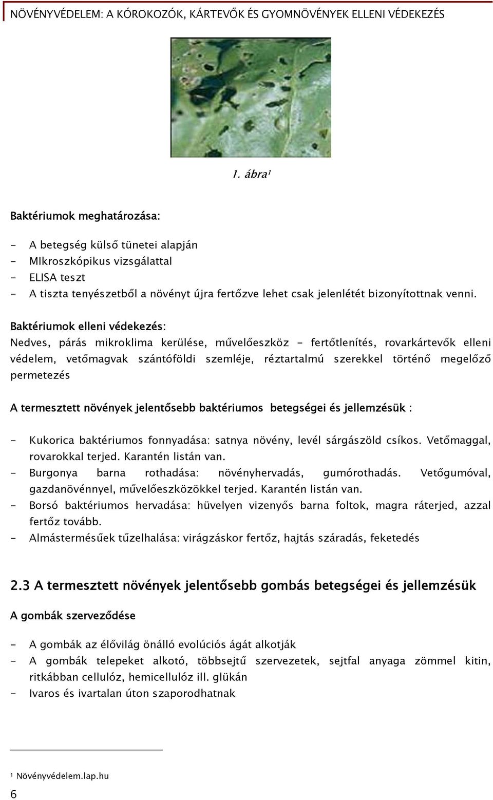 Baktériumok elleni védekezés: Nedves, párás mikroklima kerülése, művelőeszköz - fertőtlenítés, rovarkártevők elleni védelem, vetőmagvak szántóföldi szemléje, réztartalmú szerekkel történő megelőző