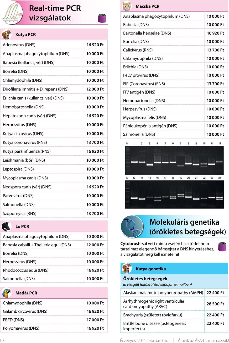 repens (DNS) Erlichia canis (kullancs, vér) (DNS) Hemobartonella (DNS) Hepatozoon canis (vér) (DNS) 16 920 Ft 12 000 Ft 16 920 Ft Borrelia (DNS) Calicivírus (RNS) Chlamydophila (DNS) Erlichia (DNS)