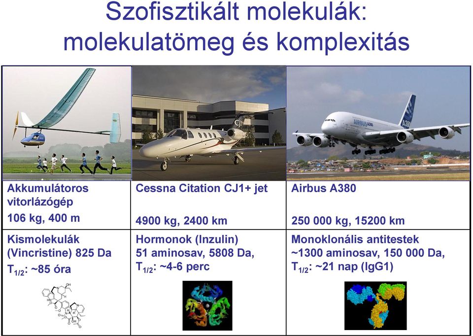 4900 kg, 2400 km ormonok (Inzulin) 51 aminosav, 5808 Da, T 1/2 : ~4-6 perc Airbus A380