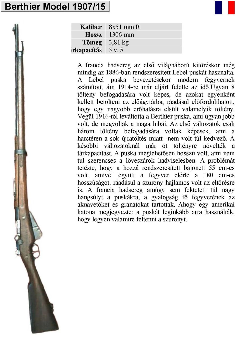A Lebel puska bevezetésekor modern fegyvernek számított, ám 1914-re már eljárt felette az idő.