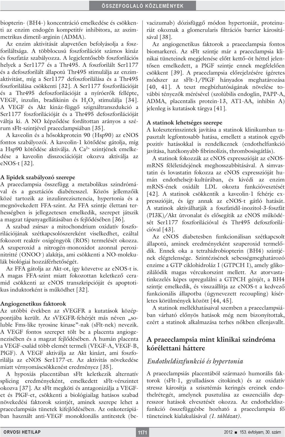 A foszforilált Ser1177 és a defoszforilált állapotú Thr495 stimulálja az enzimaktivitást, míg a Ser1177 defoszforilálása és a Thr495 foszforilálása csökkenti [32].