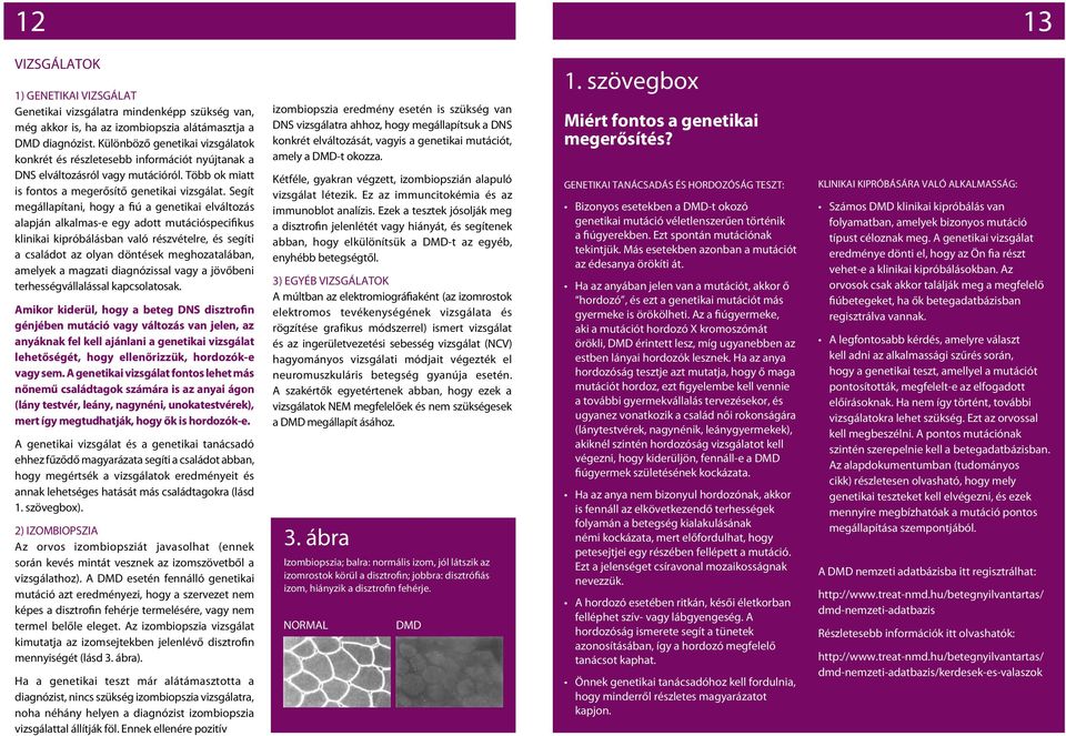 Segít megállapítani, hogy a fiú a genetikai elváltozás alapján alkalmas-e egy adott mutációspecifikus klinikai kipróbálásban való részvételre, és segíti a családot az olyan döntések meghozatalában,