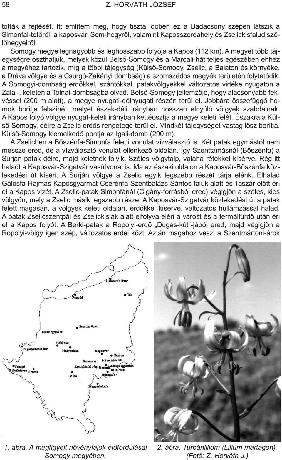 A megyét több tájegységre oszthatjuk, melyek közül Belsõ-Somogy és a Marcali-hát teljes egészében ehhez a megyéhez tartozik, míg a többi tájegység (Külsõ-Somogy, Zselic, a Balaton és környéke, a