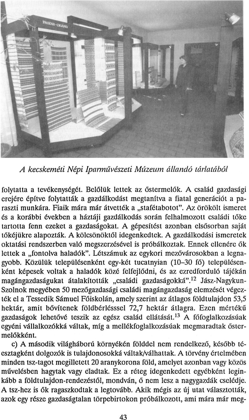 Az örökölt ismeret és a korábbi években a háztáji gazdálkodás során felhalmozott családi tőke tartotta fenn ezeket a gazdaságokat. A gépesítést azonban elsősorban saját tőkéjükre alapozták.