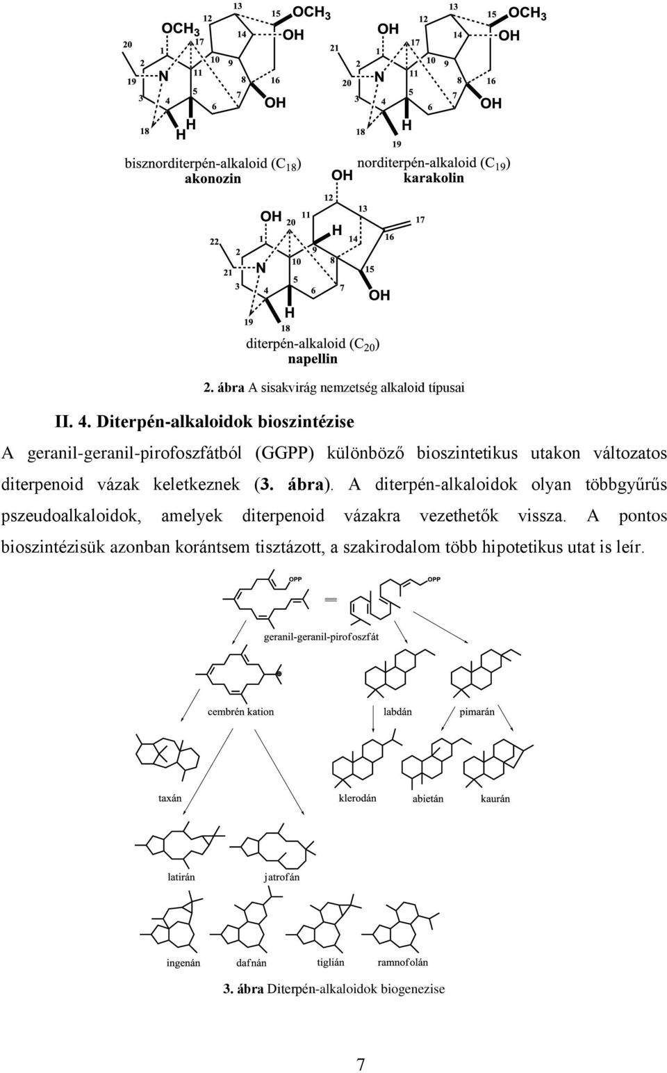 változatos diterpenoid vázak keletkeznek (3. ábra).