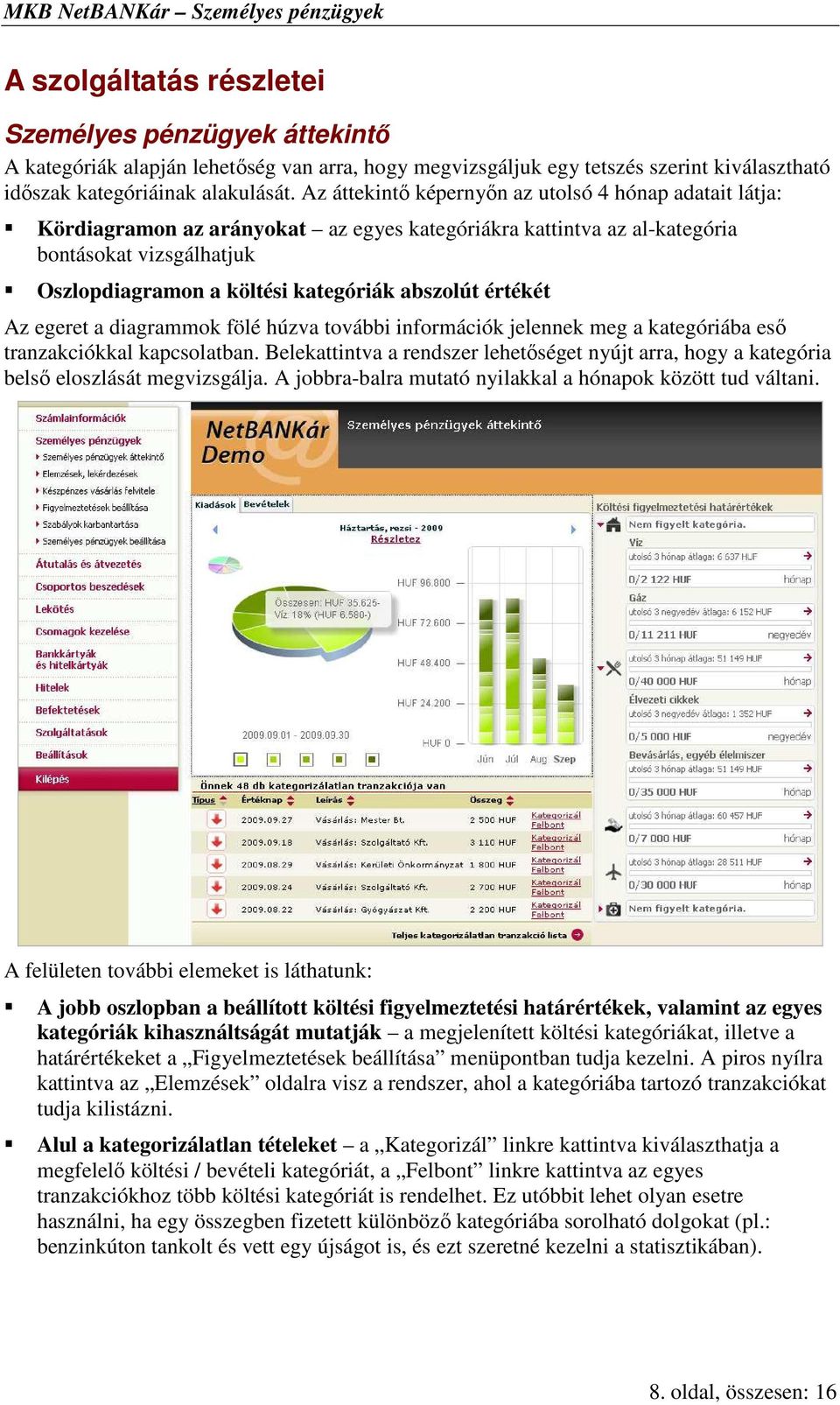 abszolút értékét Az egeret a diagrammok fölé húzva további információk jelennek meg a kategóriába esı tranzakciókkal kapcsolatban.