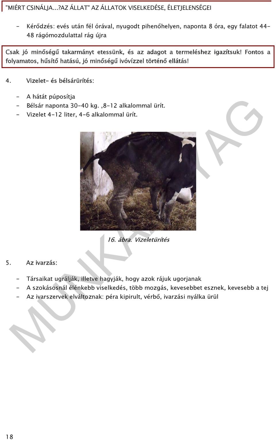 Vizelet- és bélsárürítés: - A hátát púposítja - Bélsár naponta 30-40 kg.,8-12 alkalommal ürít. - Vizelet 4-12 liter, 4-6 alkalommal ürít. 5. Az ivarzás: 16. ábra.