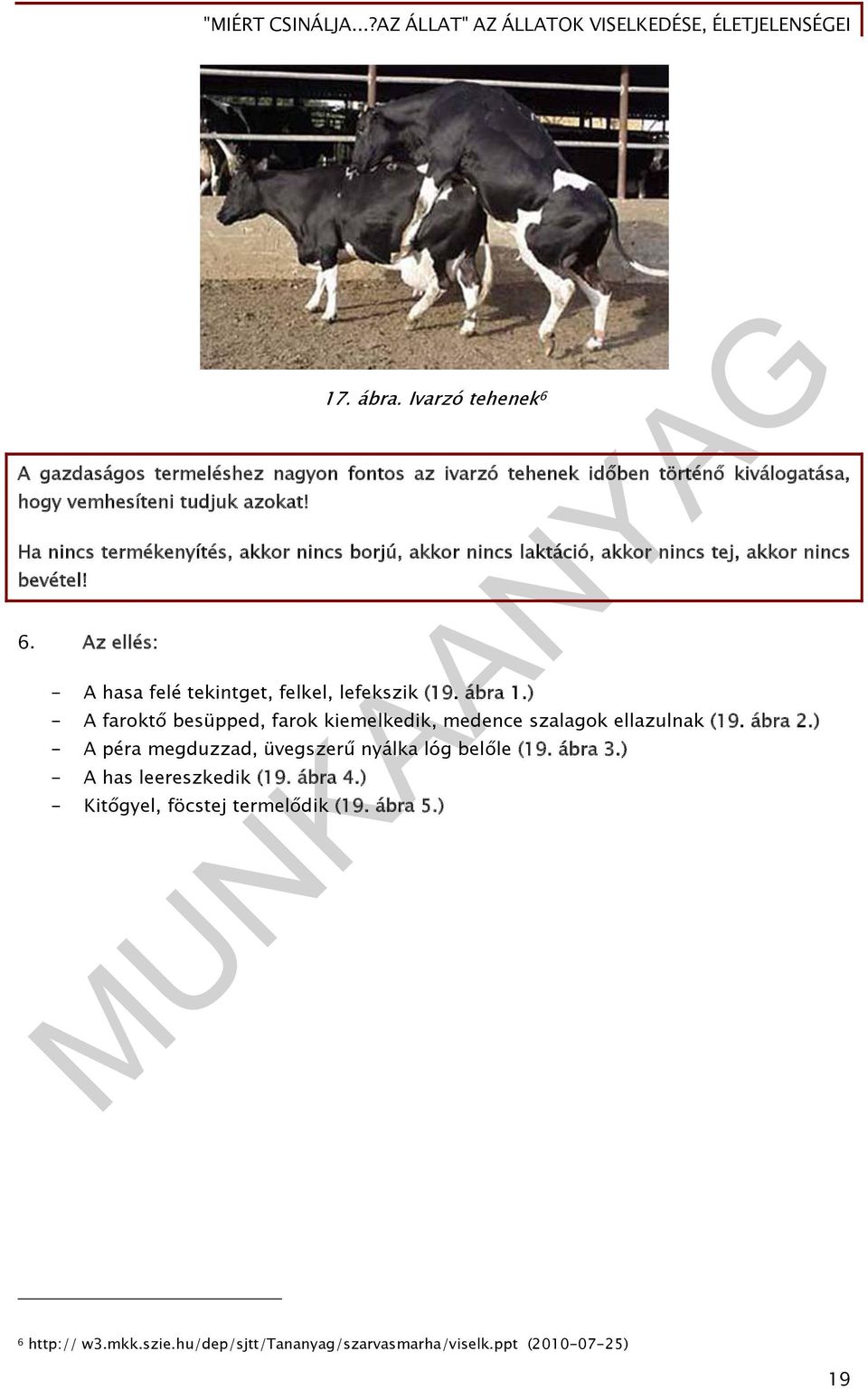 Az ellés: - A hasa felé tekintget, felkel, lefekszik (19. ábra 1.) - A faroktő besüpped, farok kiemelkedik, medence szalagok ellazulnak (19. ábra 2.