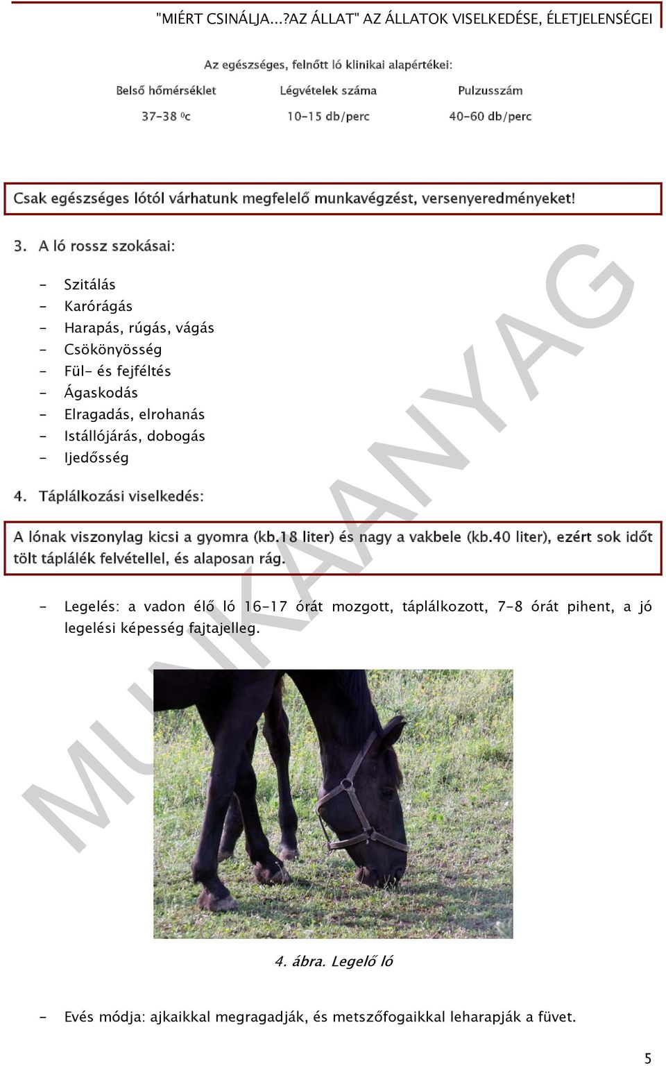 A ló rossz szokásai: - Szitálás - Karórágás - Harapás, rúgás, vágás - Csökönyösség - Fül- és fejféltés - Ágaskodás - Elragadás, elrohanás - Istállójárás, dobogás - Ijedősség 4.