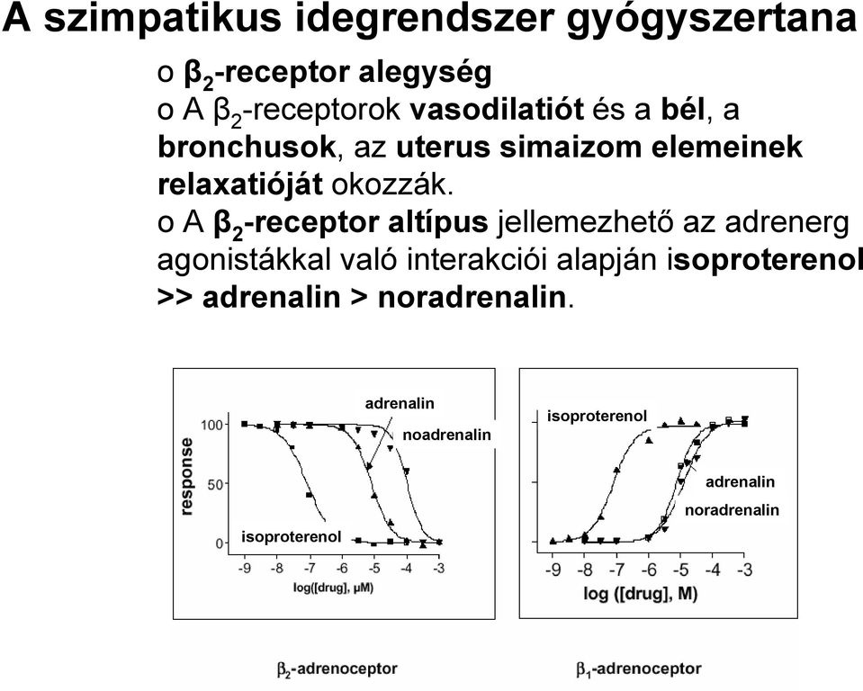 oa β 2 -receptor altípus jellemezhető az adrenerg agonistákkal való interakciói alapján