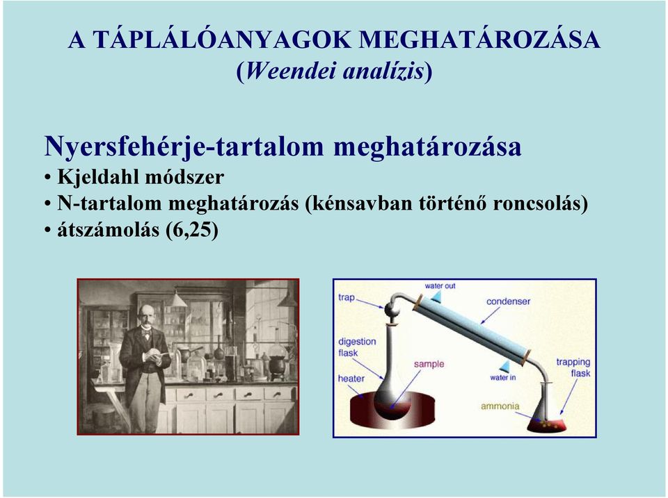 meghatározása Kjeldahl módszer N-tartalom