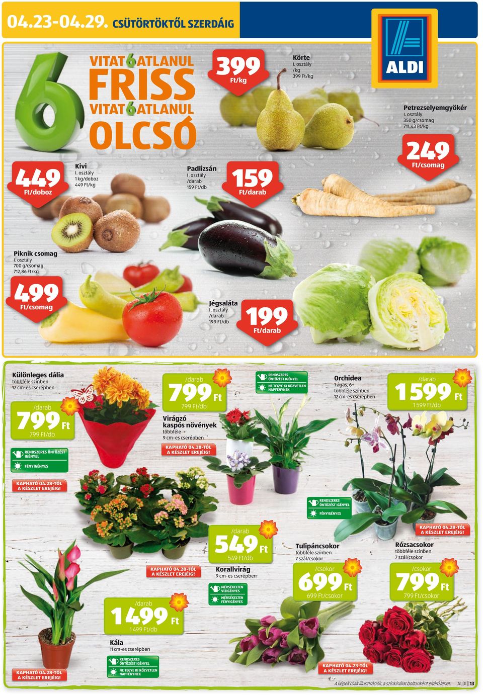 dália 799 799 RENDSZERES ÖNTÖZÉST IGÉNYEL többféle színben 12 cm-es cserépben Orchidea 1 áas, 6+ többféle színben 12 cm-es cserépben NE TEGYE KI KÖZVETLEN NAPFÉNYNEK 1 599 /db 799 /db 1 599 Virázó