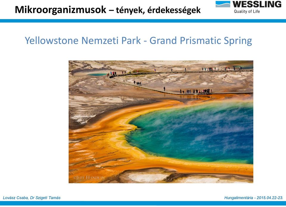 Yellowstone Nemzeti