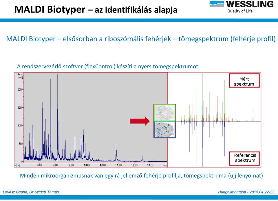 (flexcontrol) készíti a nyers tömegspektrumot Mért spektrum Referencia spektrum
