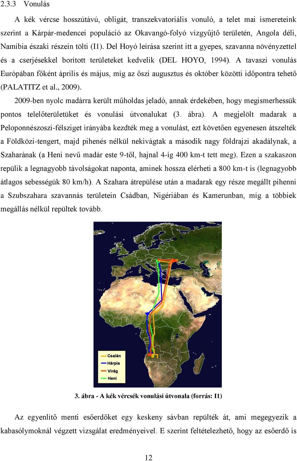 A tavaszi vonulás Európában főként április és május, míg az őszi augusztus és október közötti időpontra tehető (PALATITZ et al., 2009).